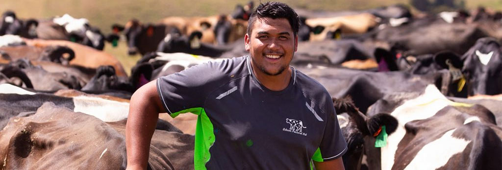 Farm Assistant - Dairy Farming