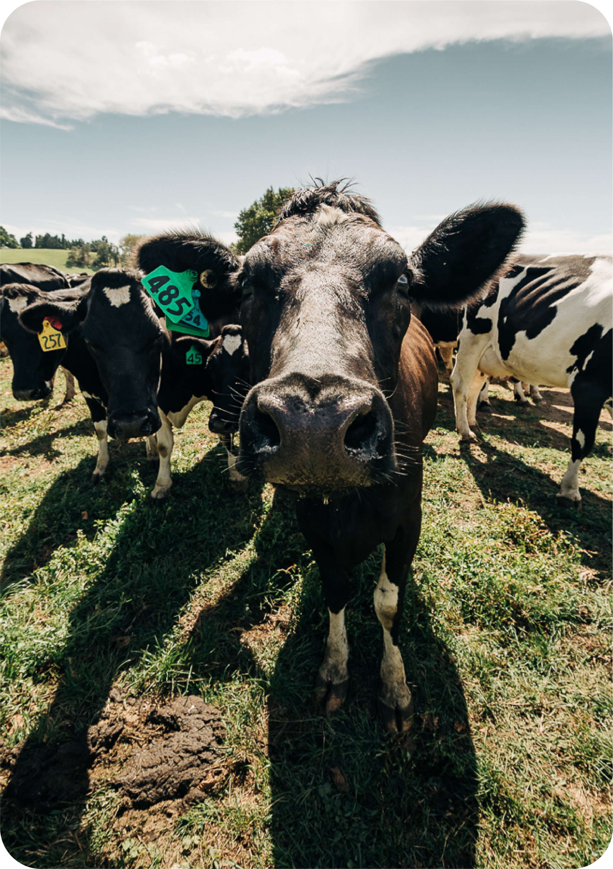 Agri-Science | GoDairy