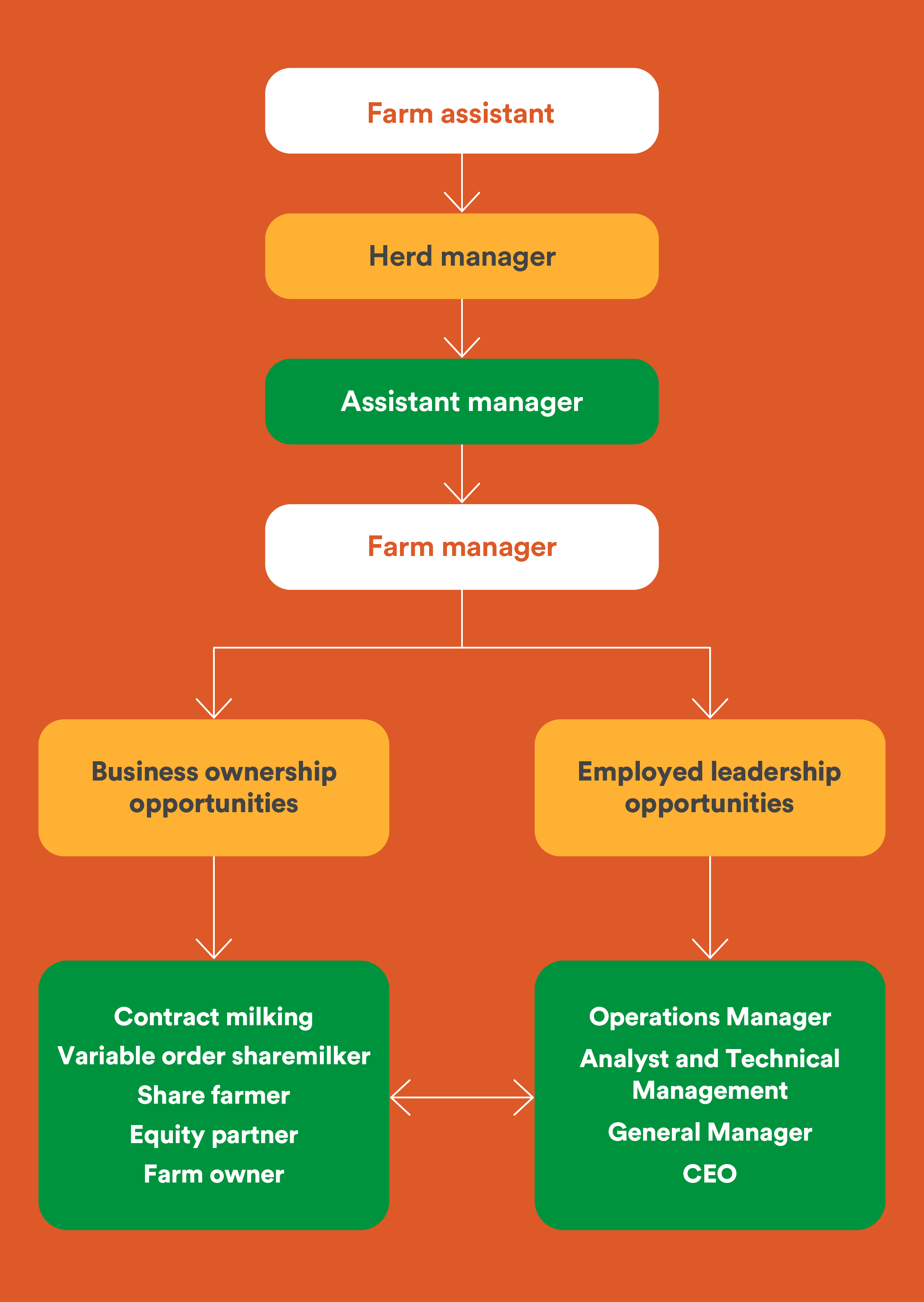 04889_GD_Career_Pathways_Web_FarmingRoles_diagram_v2