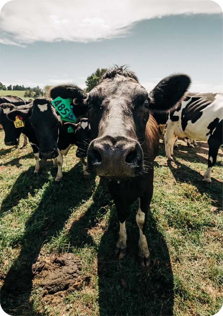 agri-science-sml Agri-Business